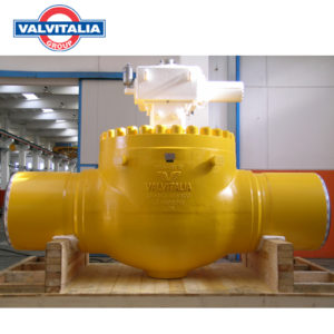 valvitalia